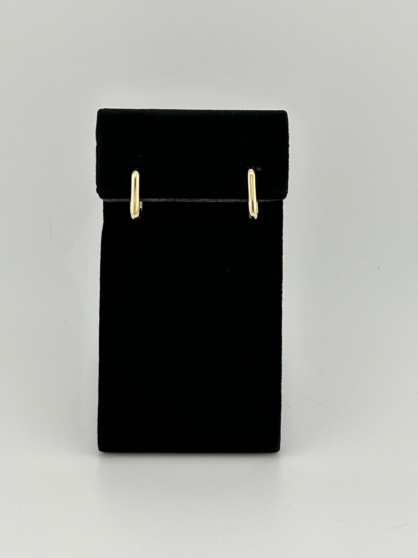 The Sissy Oblong Hoop Earrings
